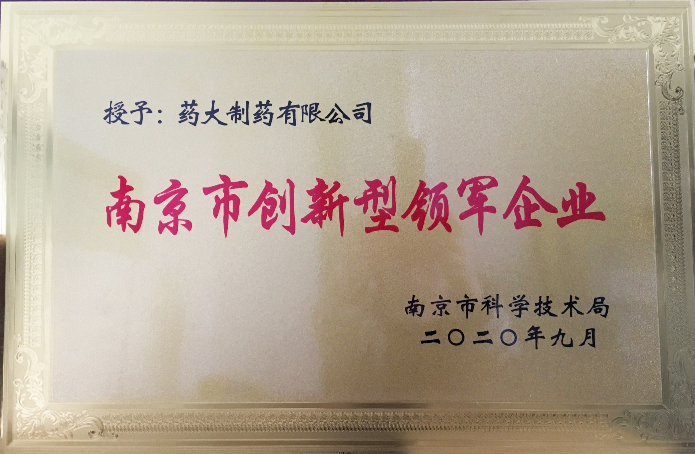 南京市創(chuàng)新型領(lǐng)軍企業(yè).JPG